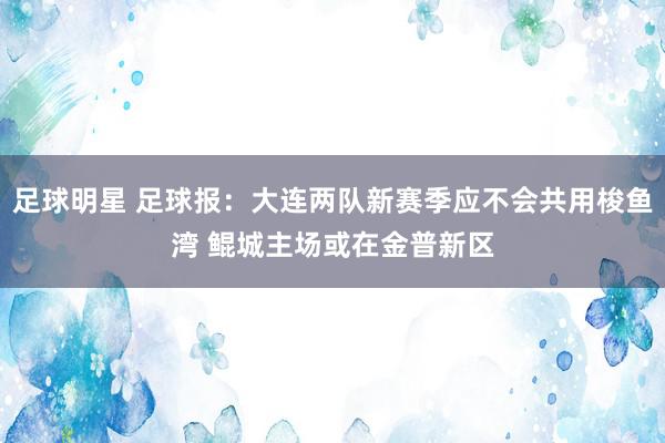 足球明星 足球报：大连两队新赛季应不会共用梭鱼湾 鲲城主场或在金普新区