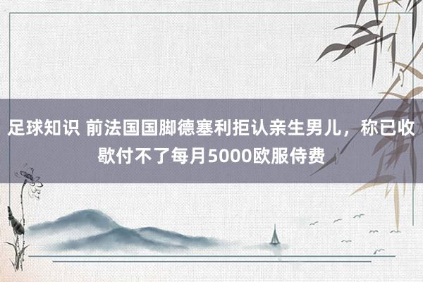 足球知识 前法国国脚德塞利拒认亲生男儿，称已收歇付不了每月5000欧服侍费