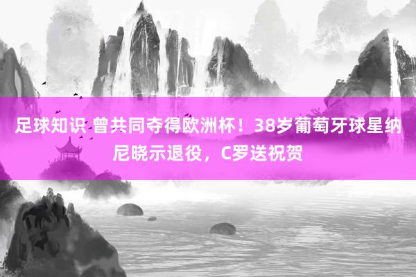 足球知识 曾共同夺得欧洲杯！38岁葡萄牙球星纳尼晓示退役，C罗送祝贺