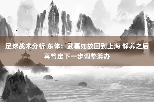 足球战术分析 东体：武磊如故回到上海 静养之后再笃定下一步调整筹办