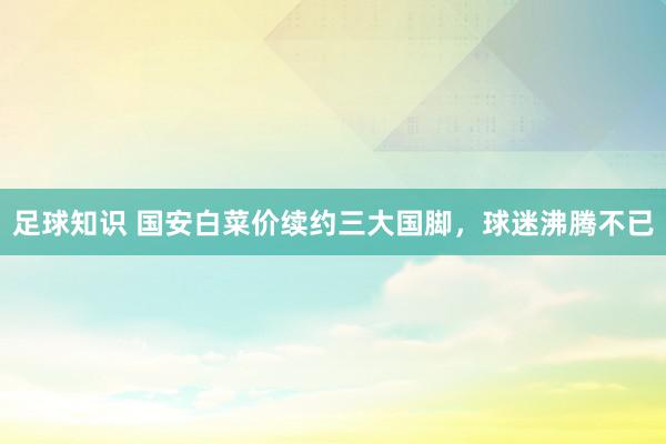 足球知识 国安白菜价续约三大国脚，球迷沸腾不已