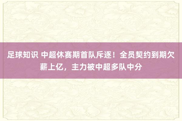 足球知识 中超休赛期首队斥逐！全员契约到期欠薪上亿，主力被中超多队中分