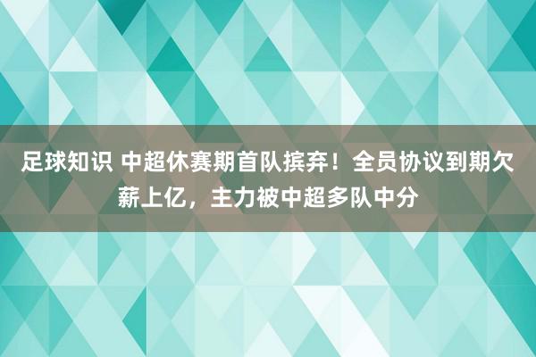 足球知识 中超休赛期首队摈弃！全员协议到期欠薪上亿，主力被中超多队中分